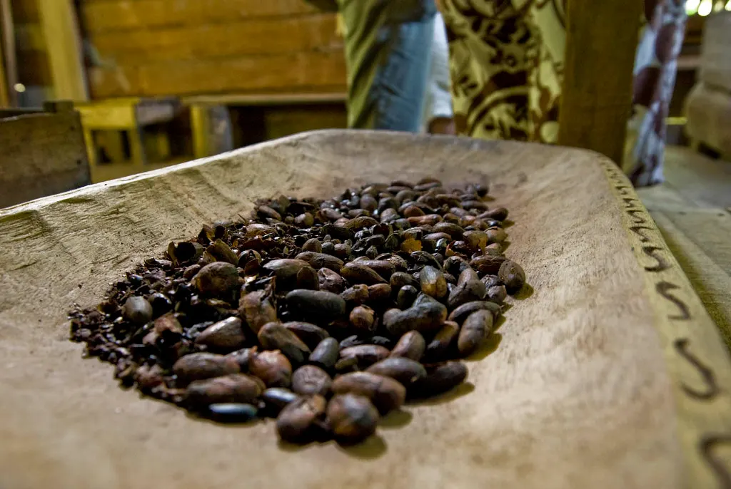 Boabe de cacao, pe o farfurie